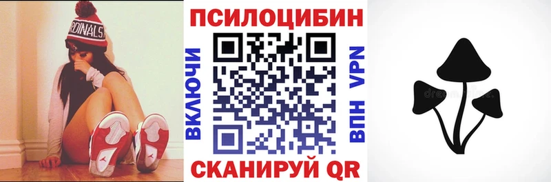 Галлюциногенные грибы Psilocybe mega онион Новый Уренгой закладка